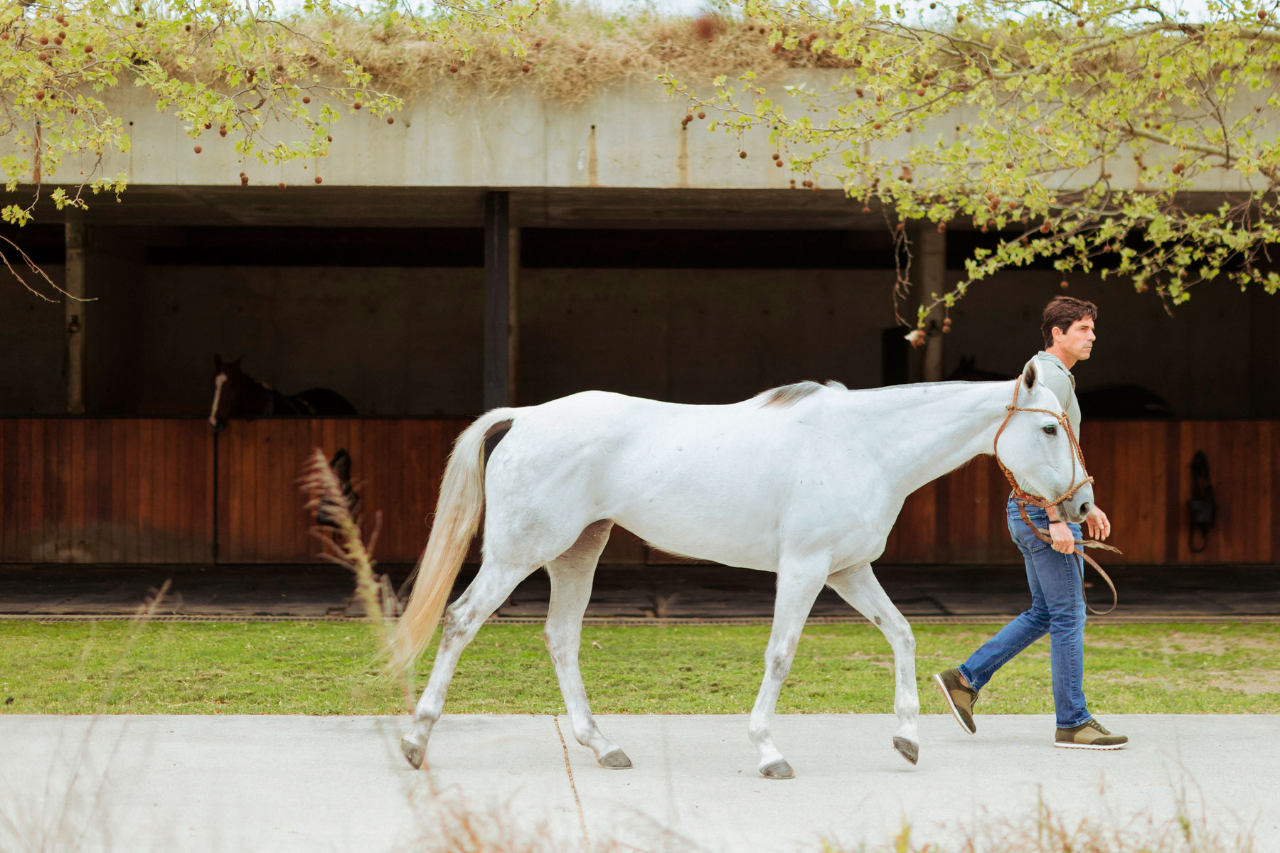 Nacho Figueras